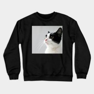 Ellie Crewneck Sweatshirt